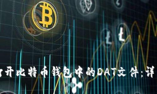 如何打开比特币钱包中的DAT文件：详细指南
